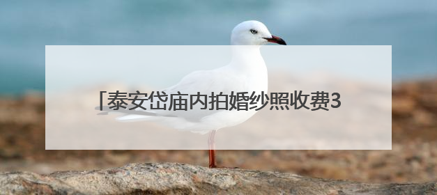 泰安岱庙内拍婚纱照收费300元，景区：是为了规范“商拍”行为，保证游客体验，收取费用全部上交国库