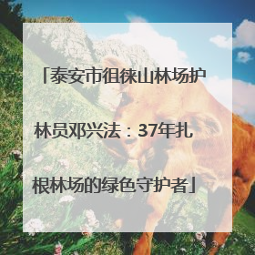 泰安市徂徕山林场护林员邓兴法：37年扎根林场的绿色守护者