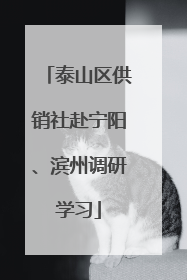 泰山区供销社赴宁阳、滨州调研学习