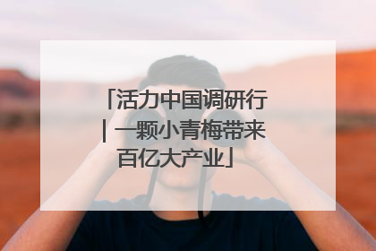活力中国调研行｜一颗小青梅带来百亿大产业