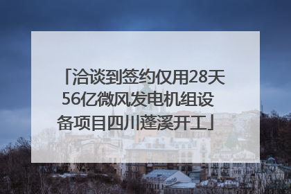 洽谈到签约仅用28天 56亿微风发电机组设备项目四川蓬溪开工