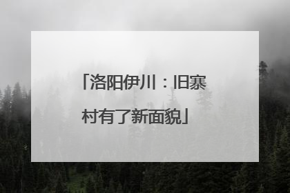 洛阳伊川：旧寨村有了新面貌