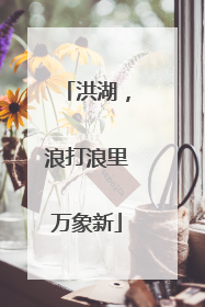 洪湖，浪打浪里万象新