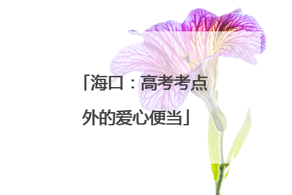 海口：高考考点外的爱心便当