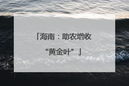 海南：助农增收 “黄金叶”