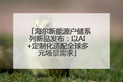海尔新能源户储系列新品发布：以AI+定制化适配全球多元场景需求