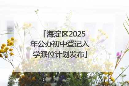 海淀区2025年公办初中登记入学派位计划发布