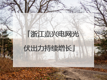 浙江嘉兴电网光伏出力持续增长