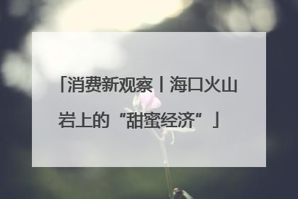 消费新观察丨海口火山岩上的“甜蜜经济”
