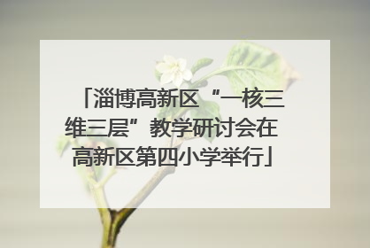 淄博高新区“一核三维三层”教学研讨会在高新区第四小学举行