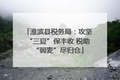 淮滨县税务局：攻坚“三夏”保丰收 税助“弱麦”尽归仓