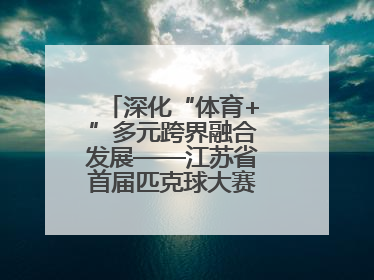 深化“体育+”多元跨界融合发展——江苏省首届匹克球大赛在无锡开赛