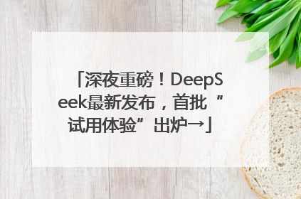 深夜重磅！DeepSeek最新发布，首批“试用体验”出炉→