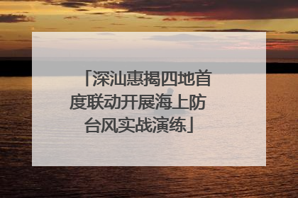 深汕惠揭四地首度联动开展海上防台风实战演练