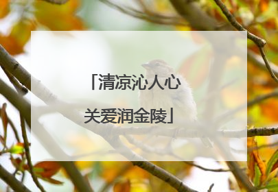 清凉沁人心 关爱润金陵