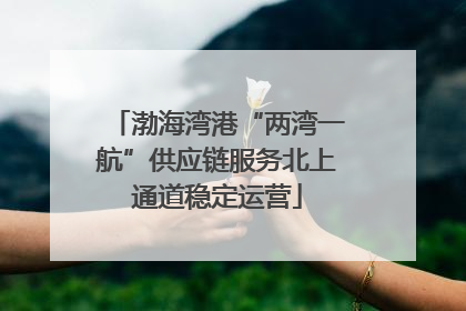 渤海湾港“两湾一航”供应链服务北上通道稳定运营