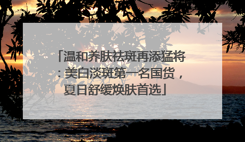 温和养肤祛斑再添猛将：美白淡斑第一名国货，夏日舒缓焕肤首选
