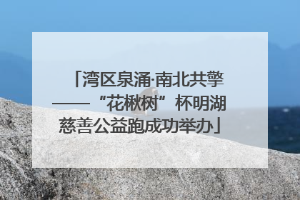 湾区泉涌·南北共擎——“花楸树”杯明湖慈善公益跑成功举办