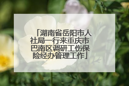 湖南省岳阳市人社局一行来重庆市巴南区调研工伤保险经办管理工作