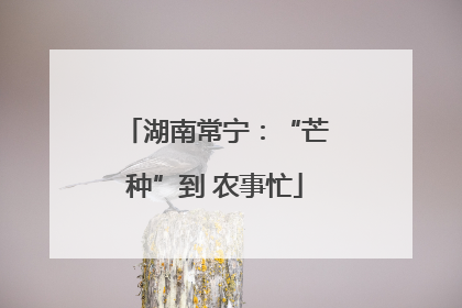 湖南常宁：“芒种”到 农事忙