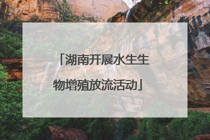 湖南开展水生生物增殖放流活动