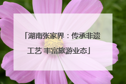 湖南张家界：传承非遗工艺 丰富旅游业态