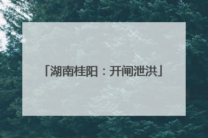 湖南桂阳：开闸泄洪