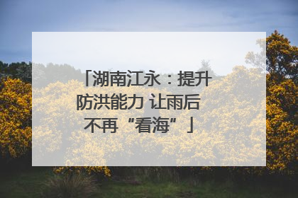 湖南江永：提升防洪能力 让雨后不再“看海”