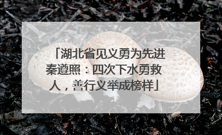 湖北省见义勇为先进秦遵照：四次下水勇救人，善行义举成榜样