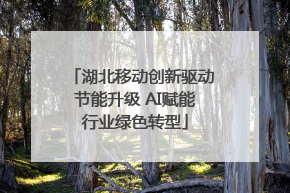 湖北移动创新驱动节能升级 AI赋能行业绿色转型