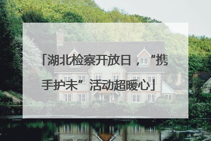 湖北检察开放日，“携手护未”活动超暖心