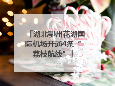 湖北鄂州花湖国际机场开通4条“荔枝航线”