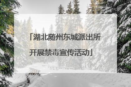 湖北随州东城派出所开展禁毒宣传活动