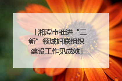 湘潭市推进“三新”领域妇联组织建设工作见成效