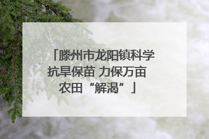 滕州市龙阳镇科学抗旱保苗 力保万亩农田“解渴”