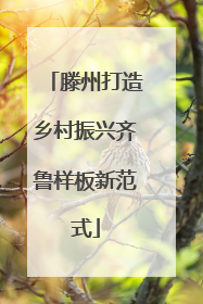 滕州打造乡村振兴齐鲁样板新范式