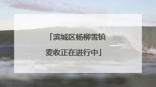滨城区杨柳雪镇麦收正在进行中