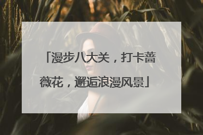 漫步八大关，打卡蔷薇花，邂逅浪漫风景