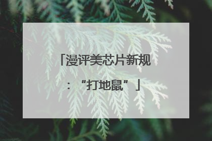 漫评美芯片新规：“打地鼠”