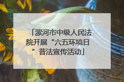漯河市中级人民法院开展“六五环境日”普法宣传活动