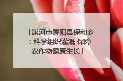 漯河市舞阳县保和乡：科学组织灌溉 保障农作物健康生长