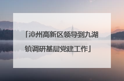 漳州高新区领导到九湖镇调研基层党建工作