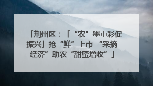 荆州区：「“农”墨重彩促振兴」抢“鲜”上市 “采摘经济”助农“甜蜜增收”