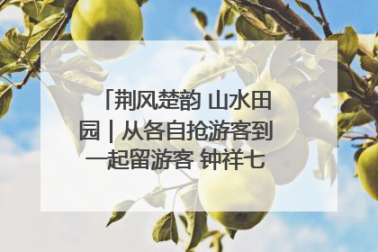 荆风楚韵 山水田园｜从各自抢游客到一起留游客 钟祥七村抱团解了“乡愁”添了“乡酬”