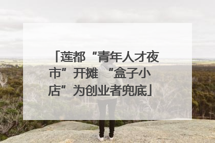 莲都“青年人才夜市”开摊 “盒子小店”为创业者兜底