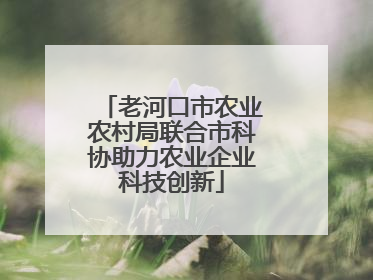 老河口市农业农村局联合市科协助力农业企业科技创新