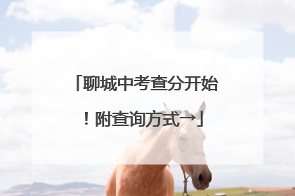 聊城中考查分开始！附查询方式→