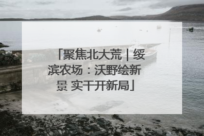 聚焦北大荒｜绥滨农场：沃野绘新景 实干开新局