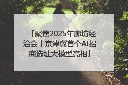 聚焦2025年廊坊经洽会丨京津冀首个AI招商选址大模型亮相