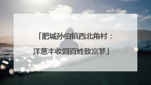 肥城孙伯镇西北角村：洋葱丰收圆百姓致富梦